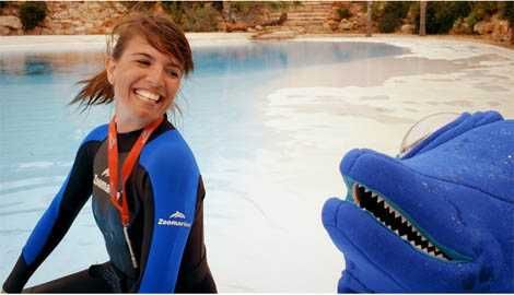 THE RIGHT DREAM: A Story of the Algarve (Lúcia Moniz / Miguel Damião) NEW64398424010371123