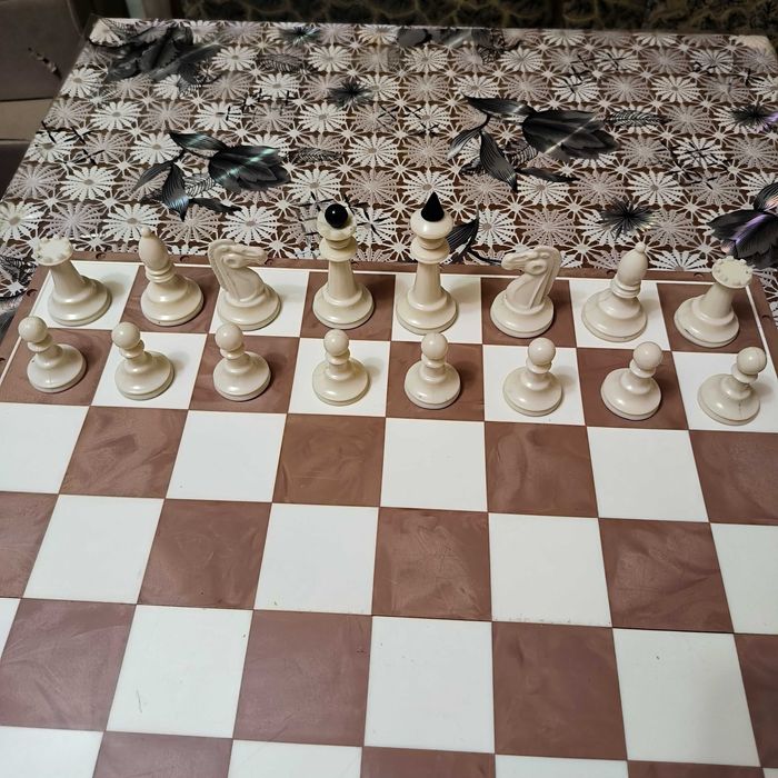 Шахматы- Беларуские-Большии.