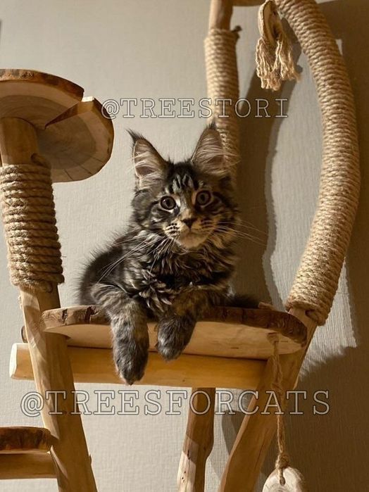 Еко когтеточки. Будинок для кота та кішки. Гральний комплекс.