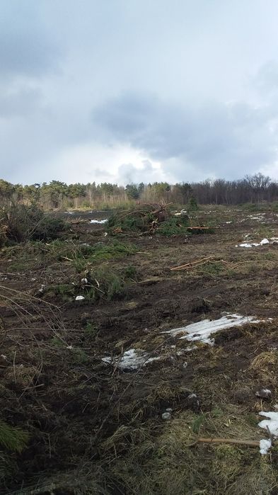 Послуги з  розчищення  ділянок,корчування пнів.