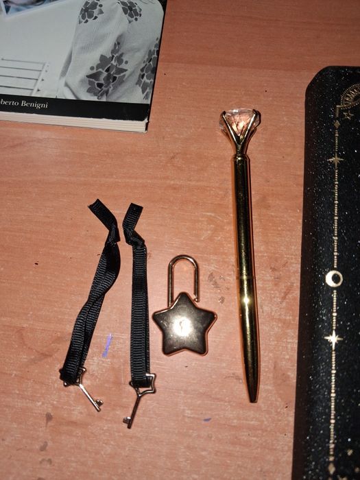 Caderno diário brilhante