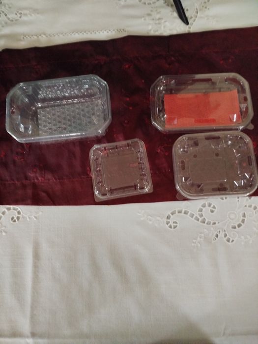 Caixas para mirtilos