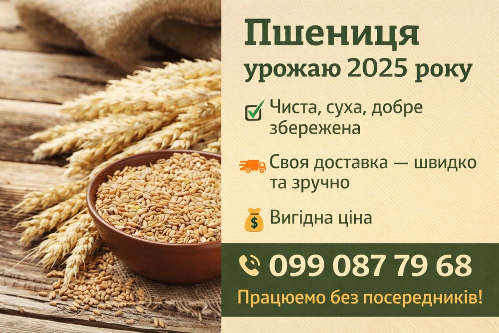 Продам пшеницю. Калуш