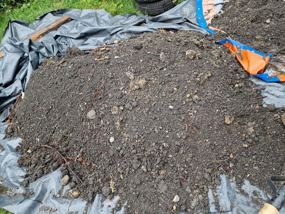 Ziemia wierchowaka za darmo