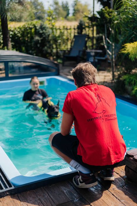 HOTEL DLA PSÓW Dobermanproject.eu