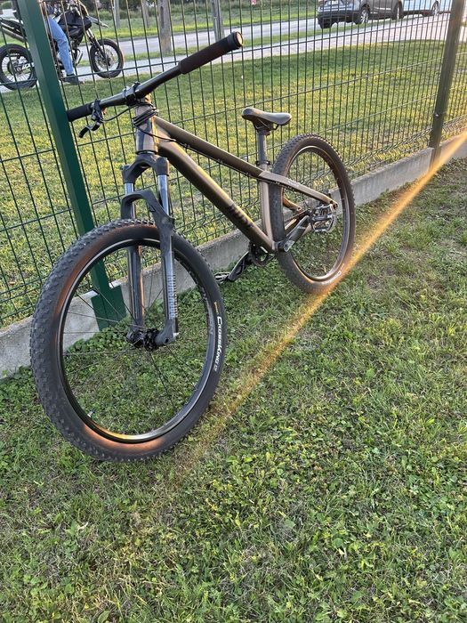 Dirt rose the bruce 2