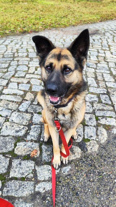 Maxym tak długo czeka, prosimy o dom