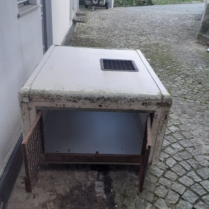 Caixa transparente animais vivos