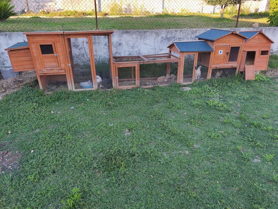 Casa para animais ...