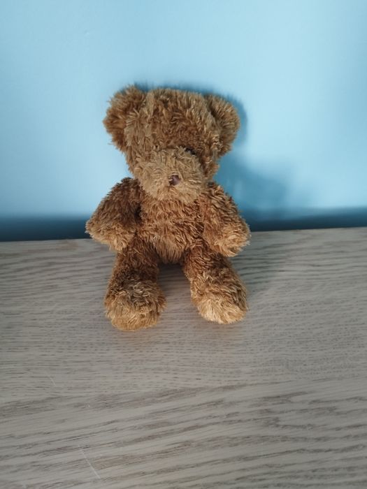 maskotka brązowy miś