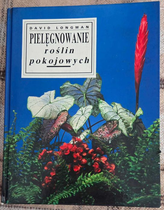 Pielęgnowanie roślin pokojowych