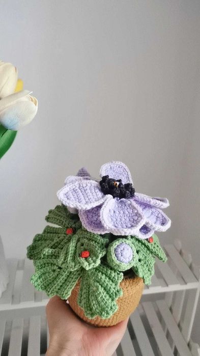 Zawilec na szydełku, kwiaty, anemon handmade