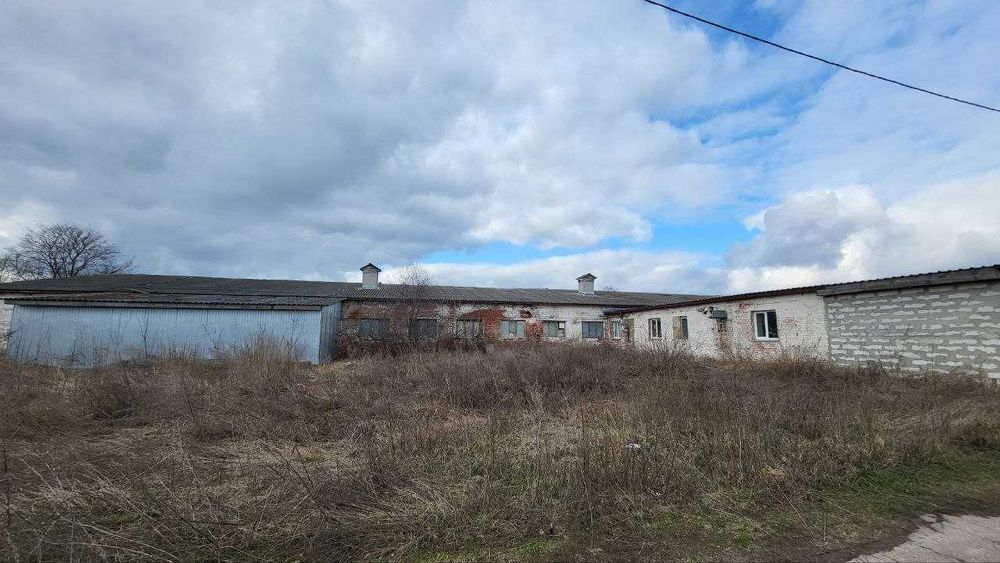 !!! Продається  ферма для ведення птахо-бізнесу