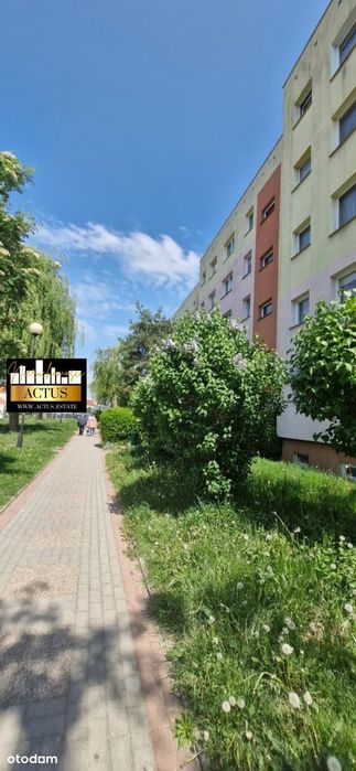 Kawalerka po remoncie