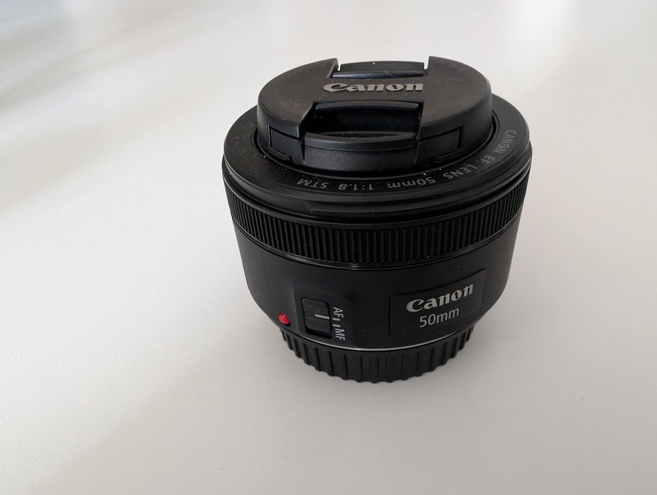 Canon EOS 250D + 3 objetivas + carregador + mala + tripé (QUASE NOVO)