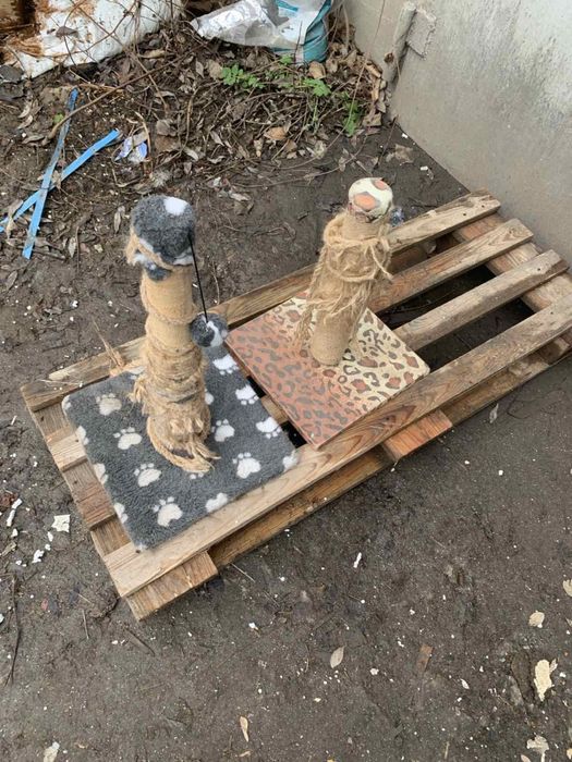 Когтеточка для кота