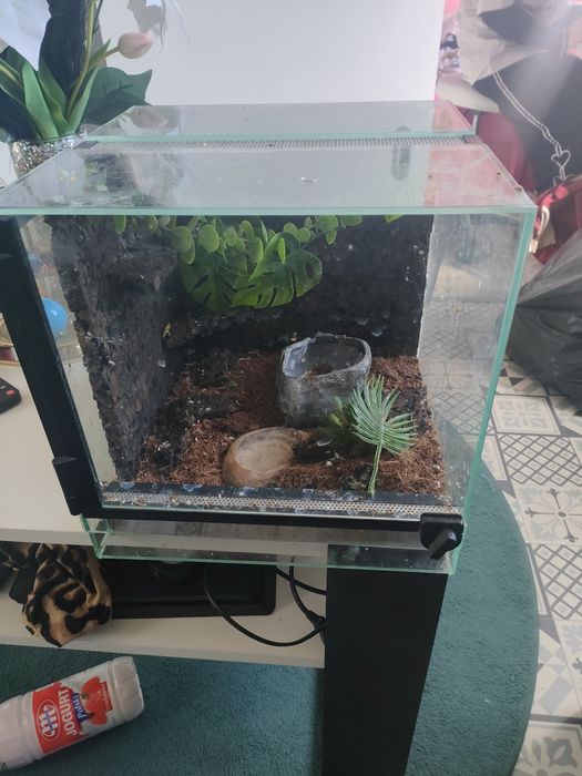 Terrarium  na jaszczurki