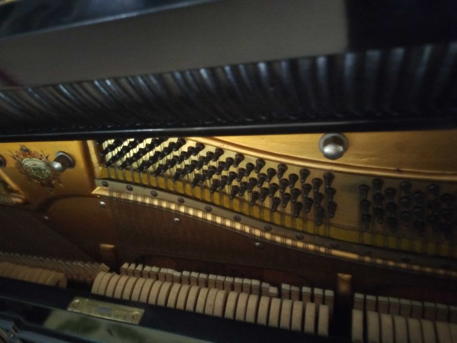 Vendo Piano Marca Ernst Kaps de 1900
