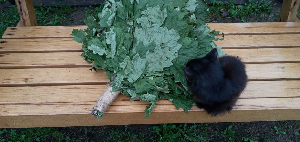 Банні віники Дуб ,берёза, липа Евкаліпт Ялина 1/5/ 40см.