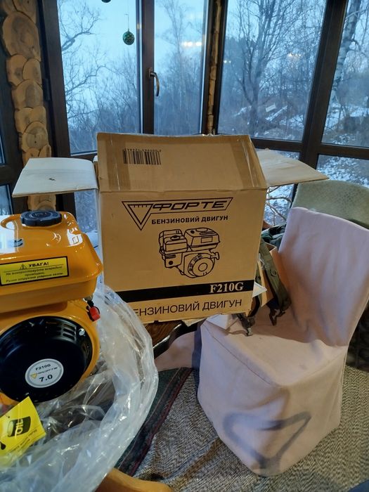 Двигун Forte F210G (вал 19мм)