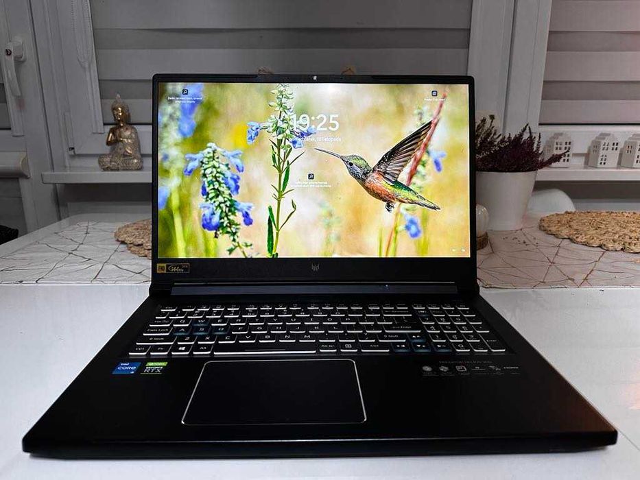 Laptop gamingowy Acer Predator Helios 300