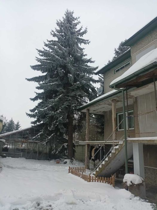 Usługa do działek, ogrodów i prac przydomowych + odśnieżanie.