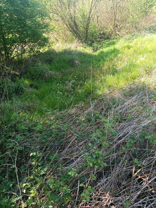 Zalesiona działka - idealna pod ambonę - 16 arów - okolice Sławy