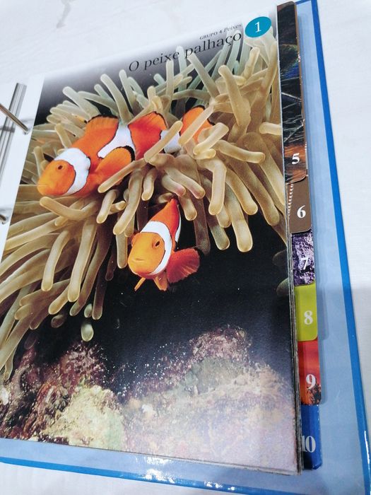 Colecção sobre o mundo animal incompleta