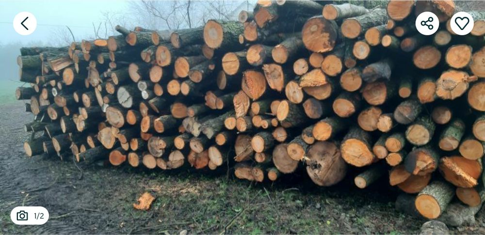 drewno opałowe opał metry iglaste lisciaste