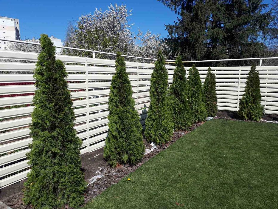 Забор Жалюзи, Ранчо, Штакетник под ключ Ворота Калитка в Одессе