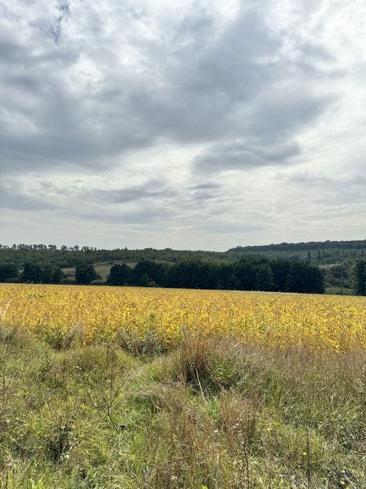 Європейський-2, ділянка біля Барселони