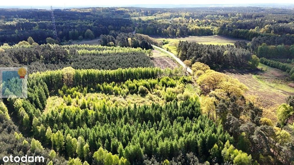 Działka,wieś Sterków,pod zabudowę 40ar,asfalt