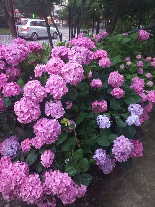 Дом по адресу ул. Загорская (площадь 110 м²) - Atlanta.ua - фото 7