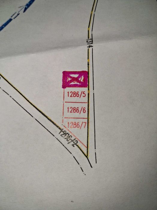 Zdjęcie 7