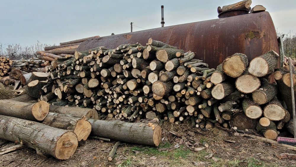 Drewno kominkowe oraz opałowe jabłoń klon sosna osika brzoza