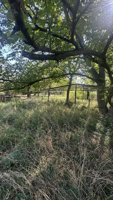 Чернівці; ділянка 20 сот. + 30 оренда; "під будівництво"; вул. Руська;