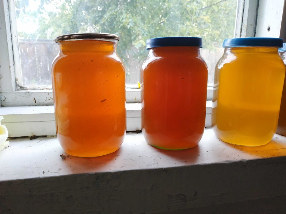 Бджоли Карпатка з маткою, бджолопакет