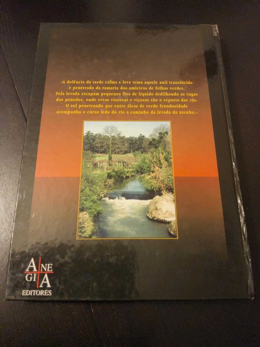 Livros - Concelho de Paredes