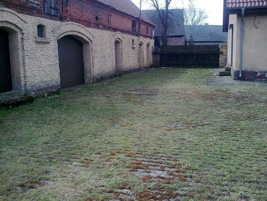 Sprzedam Dom + budynek gospodarczy 30km od granucy Świecko, Lubuskie