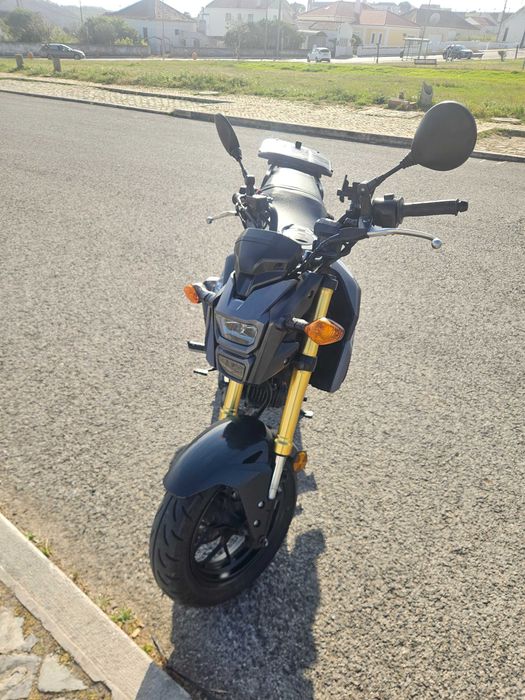Mota msx 125 USADA