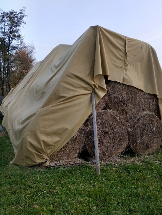 Słoma w balotach 120