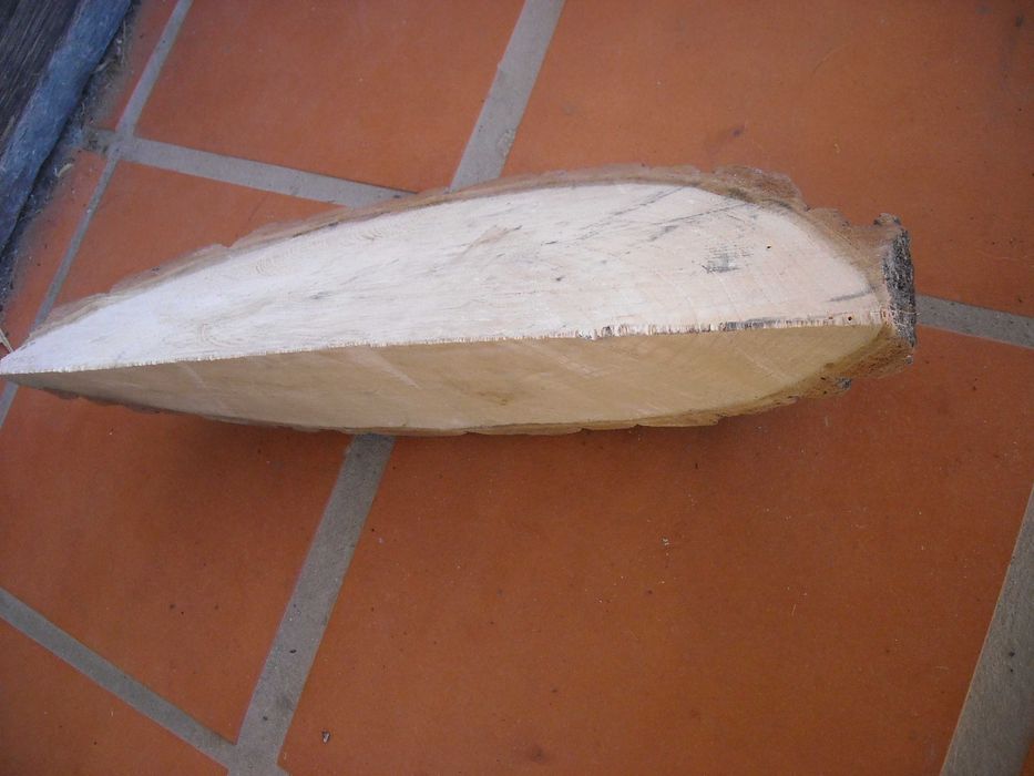 Casca rodela tronco fatia cortiça aquario terrario decoraçao