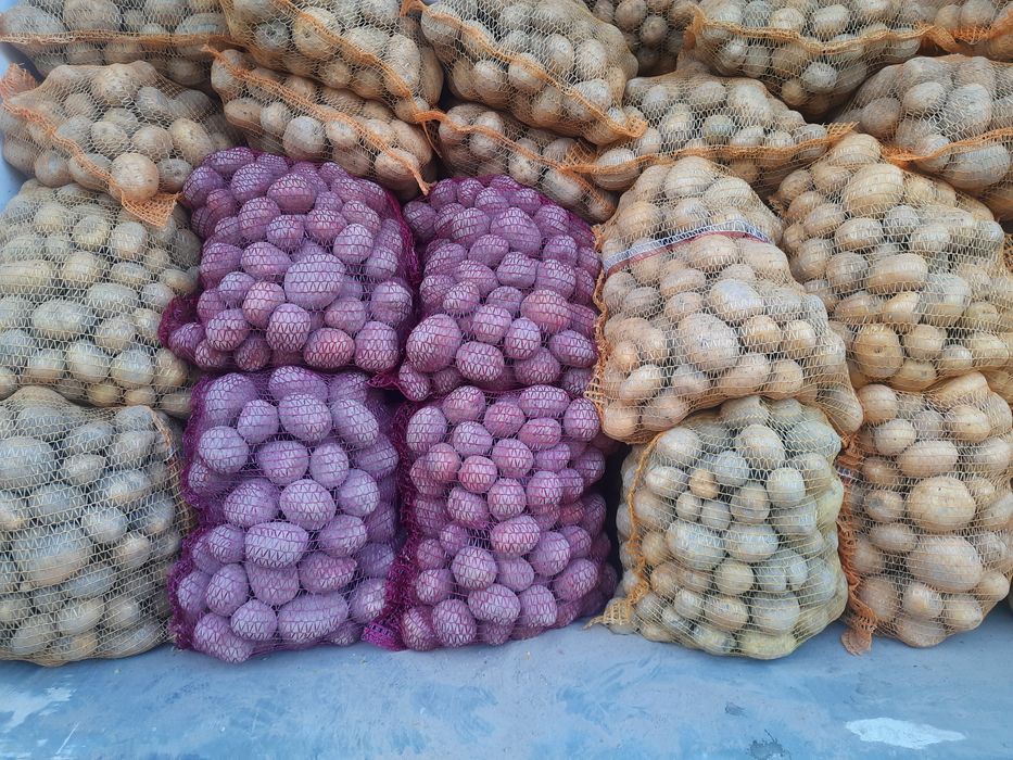 Ziemniaki żółte oraz inne warzywa zimowe z dowozem