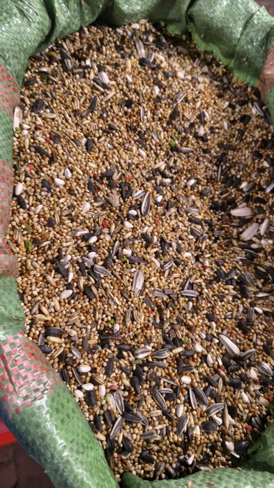 Mieszanka dla papug średnich,, T".. 20 kg 65 zł(nimfa i inne)