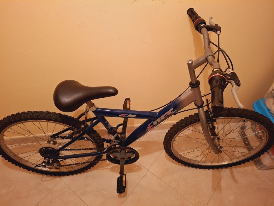 Bicicleta aduto 20'