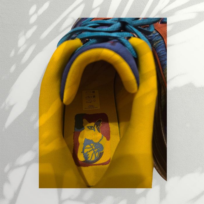 Buty Puma All-Pro Nitro Dylan Exhibit, rozmiar 46.