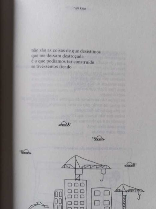 O Sol e as Suas Flores - Rupi Kaur