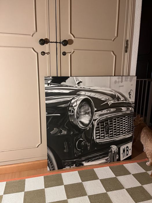 Quadro de carro novo