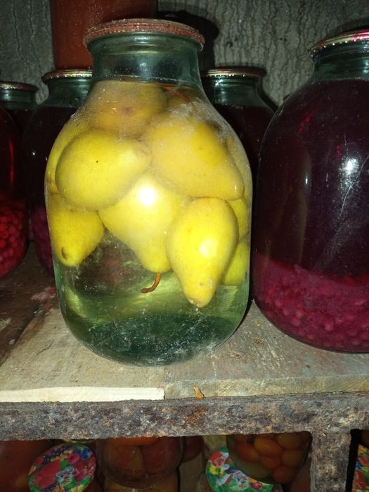 Домашняя консервация