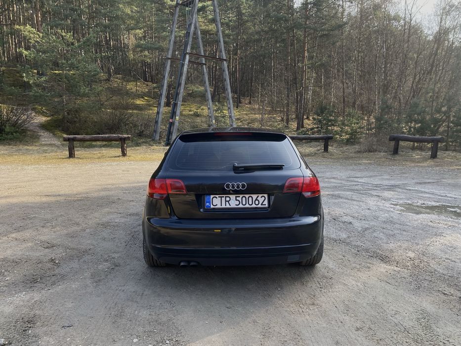 Audi A3 8P 1.9 TDI S-line Sportback - 147 koni